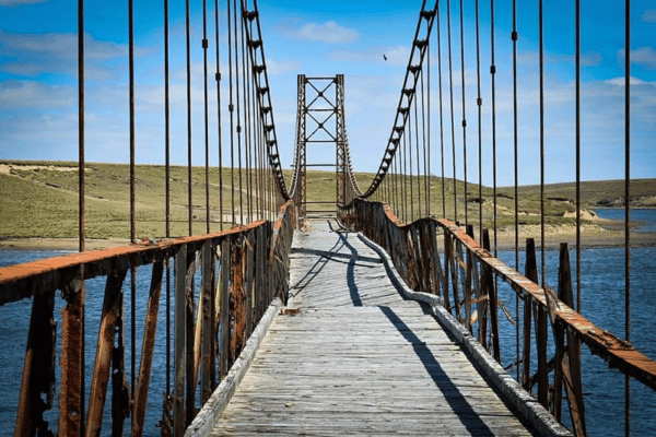 Ultimate Top 10 Falkland Islands Excursions You Can’t Miss
