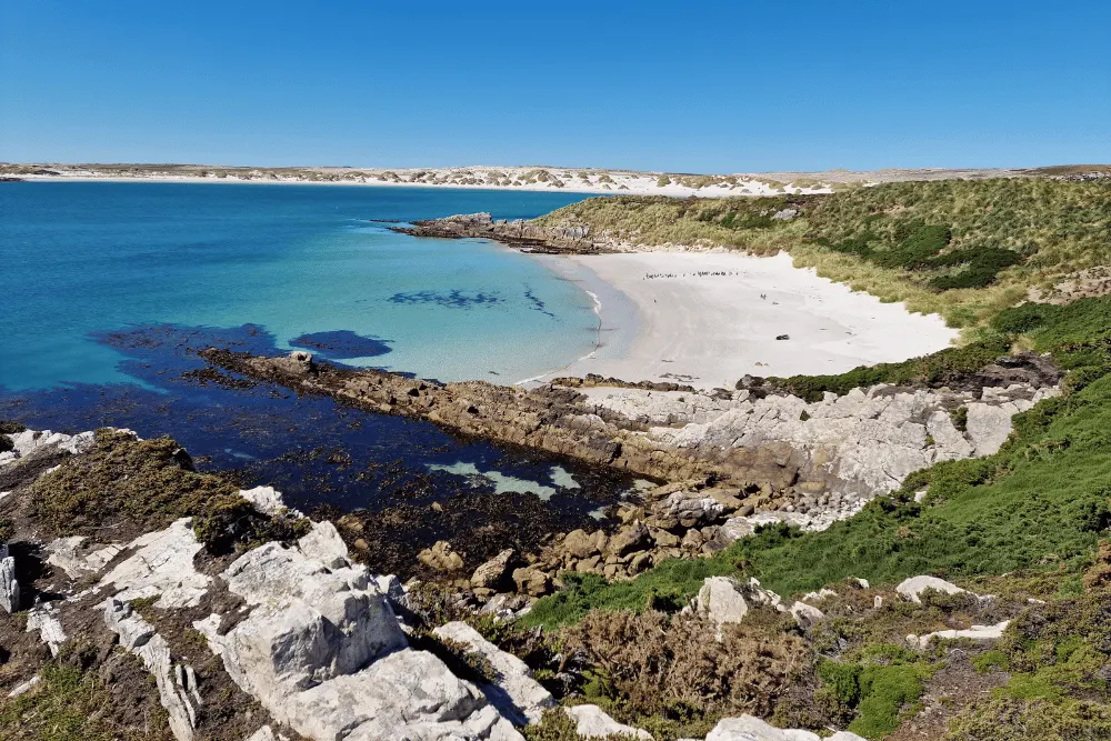 Sightseeing with Penguins in Falkland Islands Travel Falklands