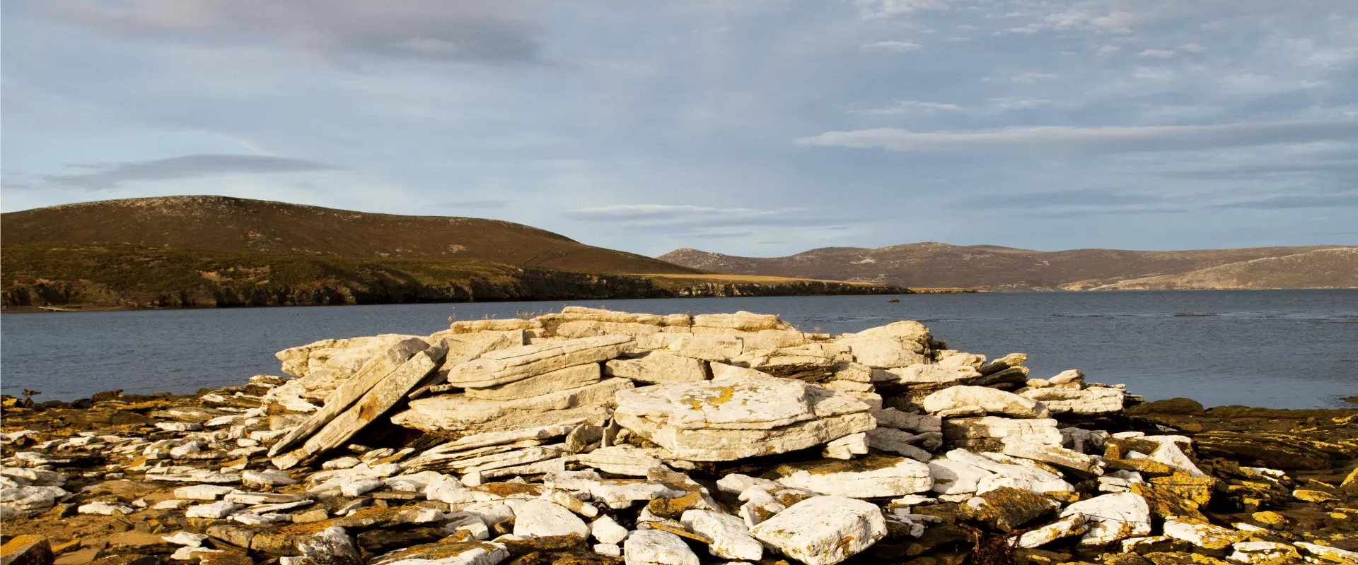 Ultimate Falkland Islands Travel Checklist: Perfect Packing & Expectations